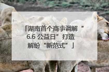 湖南首个商事调解“6.6 公益日”打造解纷“新范式”