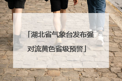 湖北省气象台发布强对流黄色省级预警