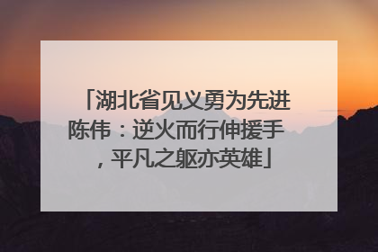湖北省见义勇为先进陈伟：逆火而行伸援手，平凡之躯亦英雄