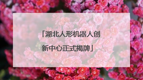 湖北人形机器人创新中心正式揭牌