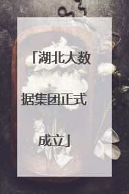 湖北大数据集团正式成立