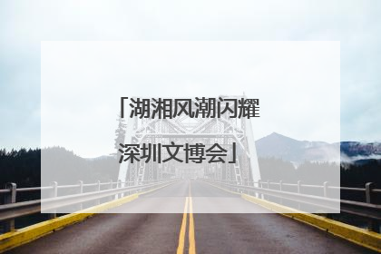 湖湘风潮闪耀深圳文博会