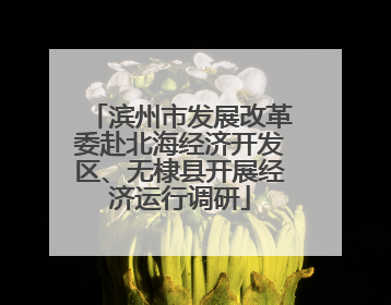 滨州市发展改革委赴北海经济开发区、无棣县开展经济运行调研