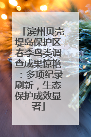 滨州贝壳堤岛保护区春季鸟类调查成果惊艳：多项纪录刷新，生态保护成效显著