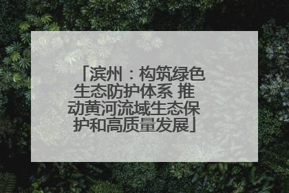 滨州：构筑绿色生态防护体系 推动黄河流域生态保护和高质量发展