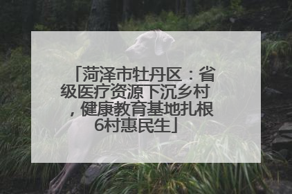 菏泽市牡丹区：省级医疗资源下沉乡村，健康教育基地扎根6村惠民生