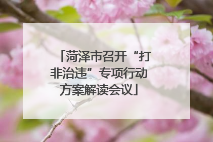 菏泽市召开“打非治违”专项行动方案解读会议