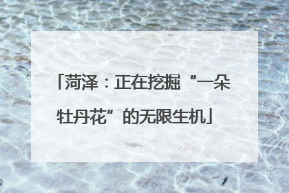 菏泽：正在挖掘“一朵牡丹花”的无限生机