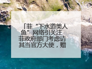 菲“下水道美人鱼”网络引关注 菲政府部门考虑请其当官方大使，赠现金开店