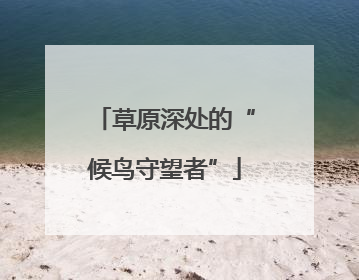 草原深处的“候鸟守望者”