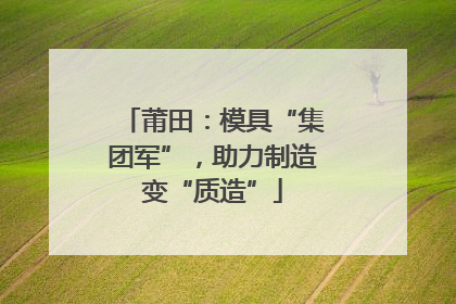 莆田：模具“集团军”，助力制造变“质造”