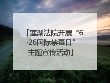 莲湖法院开展“6·26国际禁毒日”主题宣传活动