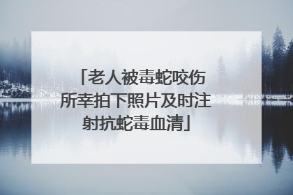 老人被毒蛇咬伤 所幸拍下照片及时注射抗蛇毒血清