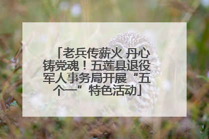 老兵传薪火 丹心铸党魂！五莲县退役军人事务局开展“五个一”特色活动