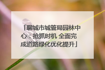 聊城市城管局园林中心：抢抓时机 全面完成道路绿化优化提升