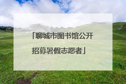聊城市图书馆公开招募暑假志愿者