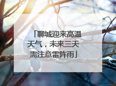 聊城迎来高温天气，未来三天需注意雷阵雨