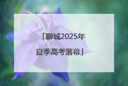 聊城2025年夏季高考落幕