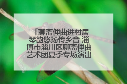 聊斋俚曲进村居 琴韵悠扬传乡音 淄博市淄川区聊斋俚曲艺术团夏季专场演出在杏园子村举行