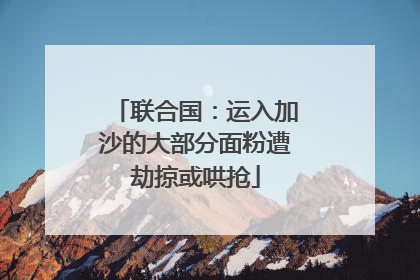 联合国：运入加沙的大部分面粉遭劫掠或哄抢