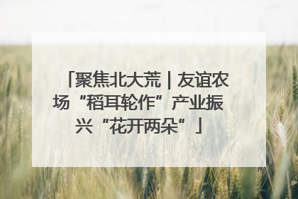 聚焦北大荒｜友谊农场“稻耳轮作”产业振兴“花开两朵”