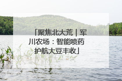 聚焦北大荒｜军川农场：智能喷药护航大豆丰收
