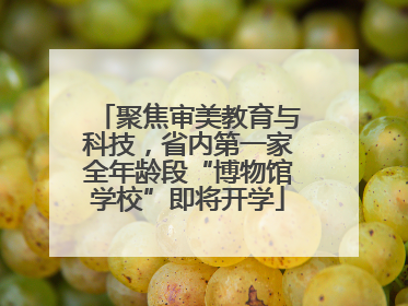 聚焦审美教育与科技，省内第一家全年龄段“博物馆学校”即将开学