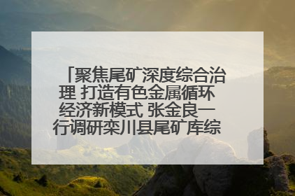 聚焦尾矿深度综合治理 打造有色金属循环经济新模式 张金良一行调研栾川县尾矿库综合治理工作