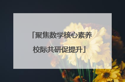 聚焦数学核心素养 校际共研促提升