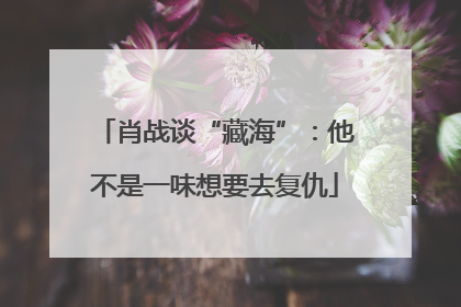 肖战谈“藏海”：他不是一味想要去复仇