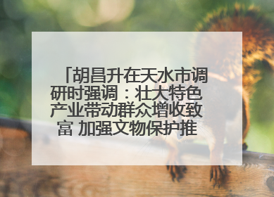 胡昌升在天水市调研时强调：壮大特色产业带动群众增收致富 加强文物保护推动文化创新发展