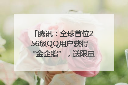 腾讯：全球首位256级QQ用户获得“金企鹅”，送限量版神秘惊喜等礼物