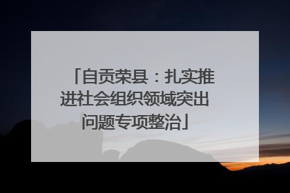 自贡荣县：扎实推进社会组织领域突出问题专项整治