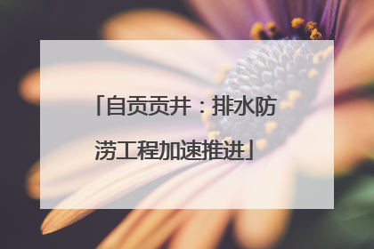 自贡贡井：排水防涝工程加速推进