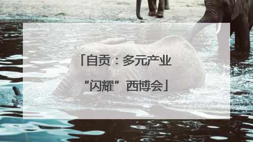 自贡：多元产业“闪耀”西博会