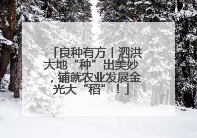 良种有方丨泗洪大地“种”出美妙，铺就农业发展金光大“稻”！