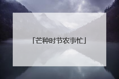 芒种时节农事忙