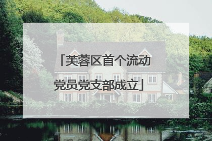 芙蓉区首个流动党员党支部成立