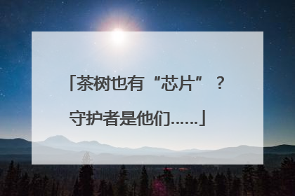 茶树也有“芯片”？守护者是他们……