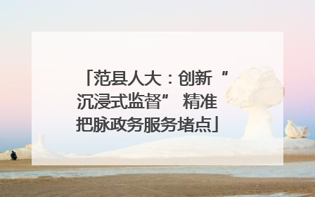 范县人大：创新“沉浸式监督” 精准把脉政务服务堵点