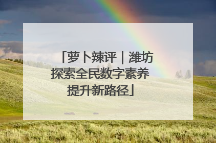 萝卜辣评｜潍坊探索全民数字素养提升新路径