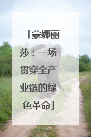 蒙娜丽莎：一场贯穿全产业链的绿色革命
