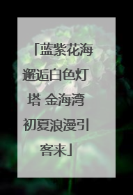 蓝紫花海邂逅白色灯塔 金海湾初夏浪漫引客来