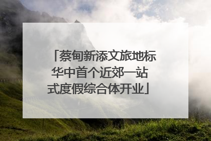蔡甸新添文旅地标 华中首个近郊一站式度假综合体开业