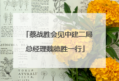 蔡战胜会见中建二局总经理魏德胜一行