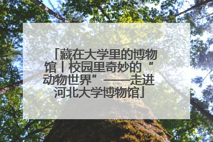藏在大学里的博物馆丨校园里奇妙的“动物世界”——走进河北大学博物馆