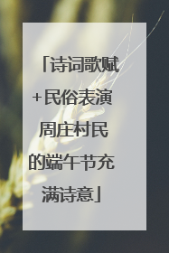 诗词歌赋+民俗表演 周庄村民的端午节充满诗意