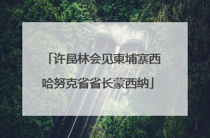 许昆林会见柬埔寨西哈努克省省长蒙西纳