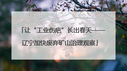让“工业伤疤”长出春天——辽宁加快废弃矿山治理观察