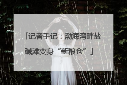 记者手记：渤海湾畔盐碱滩变身“新粮仓”